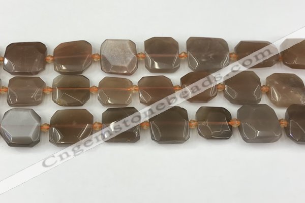 CNG8811 15.5 inches 16mm - 20mm faceted freeform moonstone beads