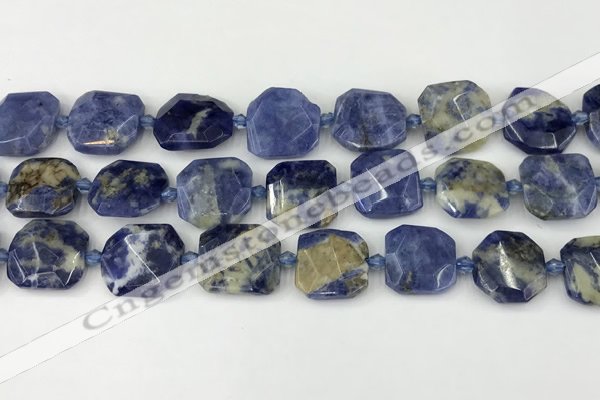 CNG8819 15.5 inches 16mm - 20mm faceted freeform sodalite beads