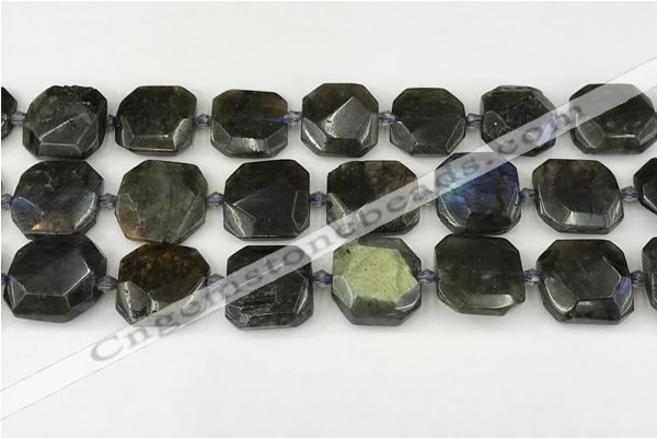 CNG8824 15.5 inches 16mm - 20mm faceted freeform labradorite beads