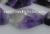 CNG893 15.5 inches 22*30mm faceted freeform dogtooth amethyst beads