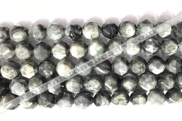 CNG9069 15.5 inches 10mm faceted nuggets eagle eye jasper gemstone beads