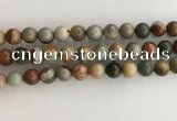 CNI372 15.5 inches 10mm round American picture jasper beads