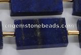 CNL1520 15.5 inches 20*30mm - 25*35mm rectangle lapis lazuli beads