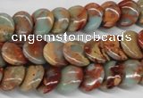 CNS124 15.5 inches 12mm flat round natural serpentine jasper beads