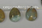 CNS200 Top-drilled 15*20mm flat teardrop natural serpentine jasper beads