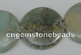 CNS235 15.5 inches 30mm flat round natural serpentine jasper beads