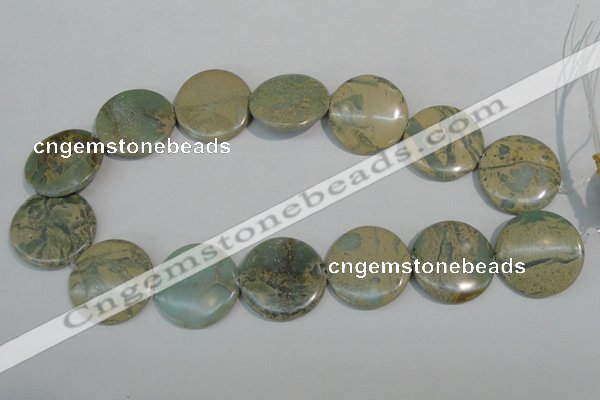 CNS235 15.5 inches 30mm flat round natural serpentine jasper beads