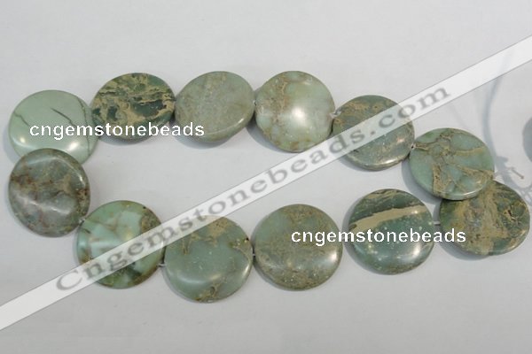 CNS236 15.5 inches 35mm flat round natural serpentine jasper beads