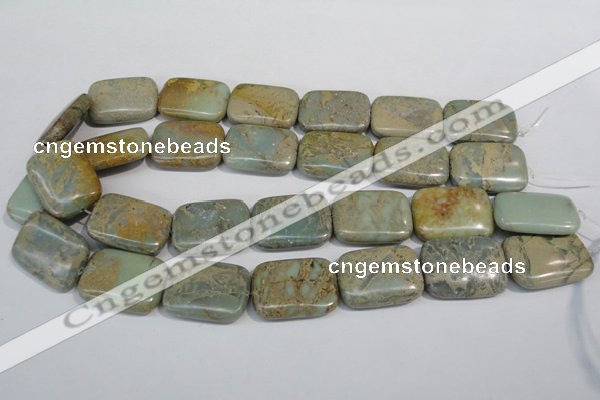 CNS257 15.5 inches 22*30mm rectangle natural serpentine jasper beads