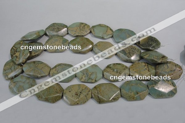 CNS263 15.5 inches 22*30mm octagonal natural serpentine jasper beads