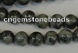 CNS401 15.5 inches 6mm round natural serpentine jasper beads