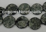 CNS420 15.5 inches 14mm flat round natural serpentine jasper beads