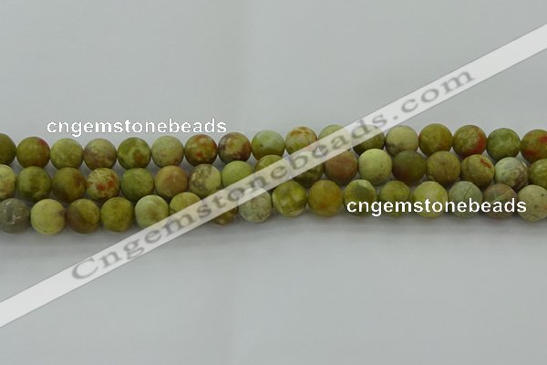 CNS652 15.5 inches 10mm round matte green dragon serpentine jasper beads