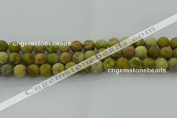 CNS653 15.5 inches 12mm round matte green dragon serpentine jasper beads