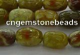 CNS661 15.5 inches 8*12mm drum green dragon serpentine jasper beads