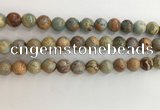 CNS703 15.5 inches 10mm round serpentine jasper beads wholesale