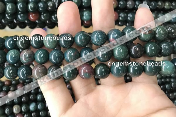 COJ333 15.5 inches 10mm round Indian bloodstone beads wholesale