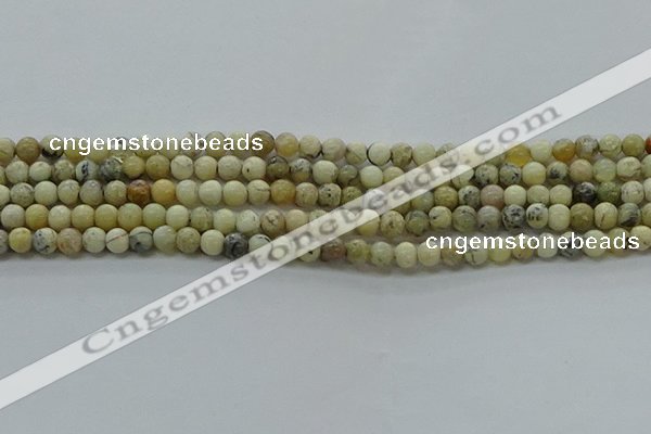 COP1460 15.5 inches 4mm round African opal gemstone beads