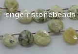 COP1482 15.5 inches 10*10mm briolette African opal gemstone beads