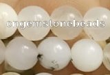 COP1584 15.5 inches 6mm round white opal gemstone beads