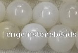 COP1590 15.5 inches 10mm round white opal gemstone beads