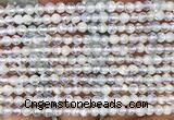 COP1931 15 inches 4mm faceted round opalite beads wholesale