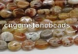 COP306 15.5 inches 6*8mm oval brandy opal gemstone beads wholesale