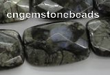 COP491 15.5 inches 20*30mm faceted rectangle natural grey opal beads