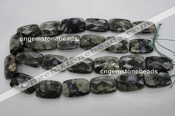 COP491 15.5 inches 20*30mm faceted rectangle natural grey opal beads