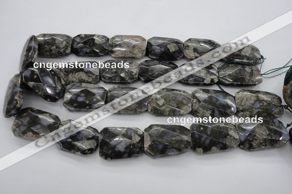 COP493 22*30mm faceted & twisted rectangle natural grey opal beads