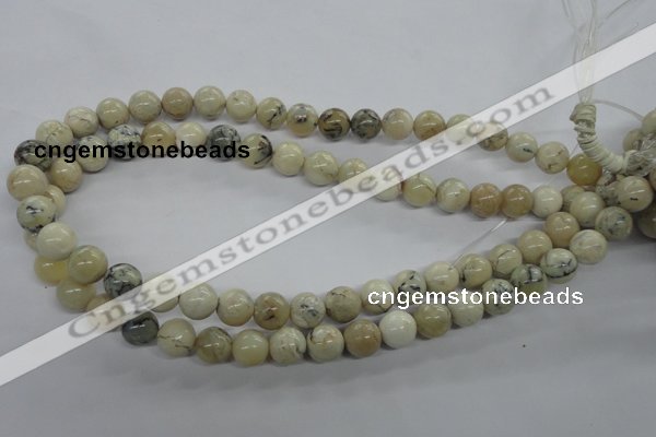 COP803 15.5 inches 10mm round natural African opal beads