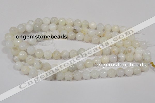 COP902 15.5 inches 10mm round natural white opal gemstone beads