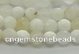 COP931 15.5 inches 6mm faceted round white opal gemstone beads