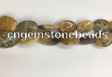 COS262 15.5 inches 18*25mm oval ocean stone beads wholesale