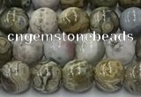COS306 15.5 inches 6mm round ocean jasper beads wholesale
