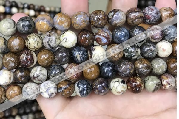 CPB1032 15.5 inches 10mm round pietersite beads wholesale