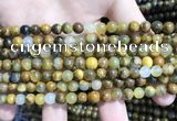 CPB1050 15.5 inches 4mm round golden pietersite beads wholesale