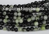 CPJ201 15.5 inches 4mm round green picasso jasper beads