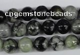 CPJ204 15.5 inches 10mm round green picasso jasper beads