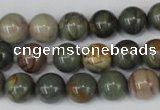 CPJ62 15.5 inches 10mm round picasso jasper gemstone beads