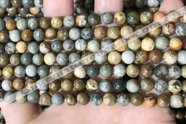 CPJ707 15.5 inches 6mm round rocky butte picture jasper beads