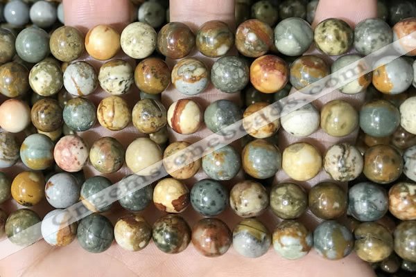 CPJ709 15.5 inches 10mm round rocky butte picture jasper beads