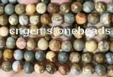 CPJ710 15.5 inches 12mm round rocky butte picture jasper beads