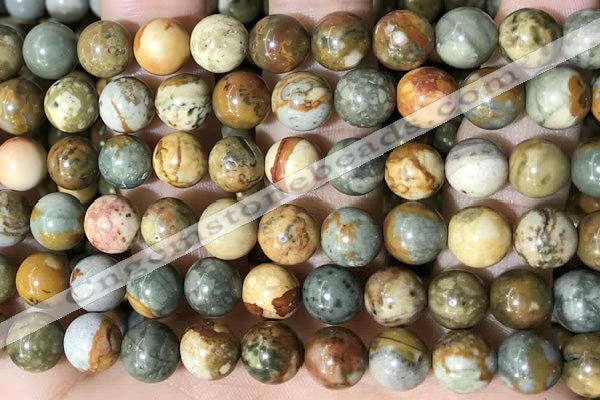 CPJ710 15.5 inches 12mm round rocky butte picture jasper beads