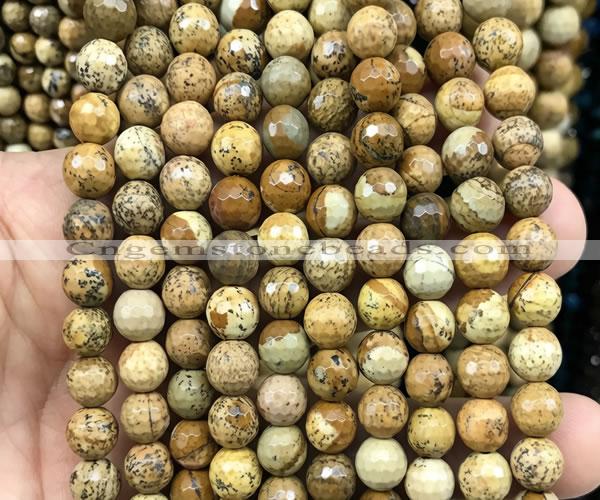 CPJ773 15 inches 8mm faceted round picture jasper beads wholesale