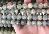 CPR354 15.5 inches 13mm faceted round prehnite beads wholesale