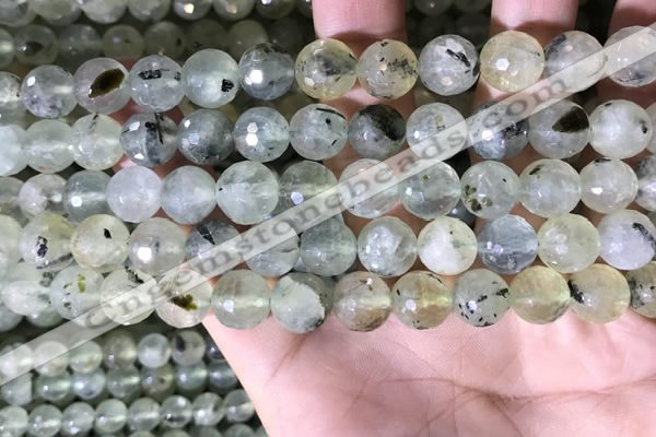 CPR359 15.5 inches 10mm faceted round prehnite beads wholesale