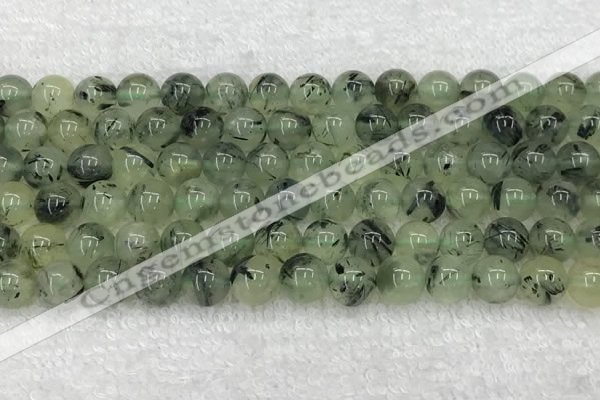 CPR391 15.5 inches 8mm round prehnite beads wholesale