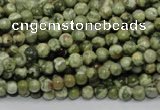 CPS110 15.5 inches 4mm round green peacock stone beads wholesale