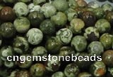 CPS111 15.5 inches 10mm round green peacock stone beads wholesale